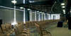 Anel Hotel 